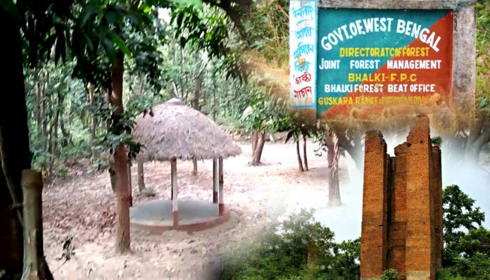 শাল, সেগুনের ছায়ায়, উইকএন্ডে চলুন ভালকি মাচান সবুজের মায়ায়!