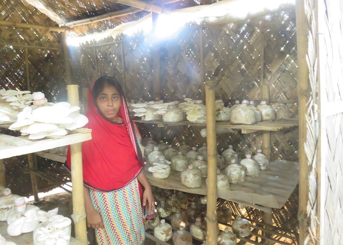 মাশরুম চাষে স্বাবলম্বী নারী