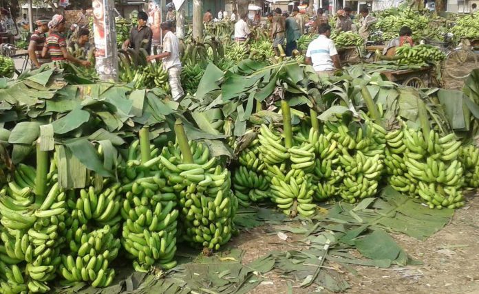 কলা