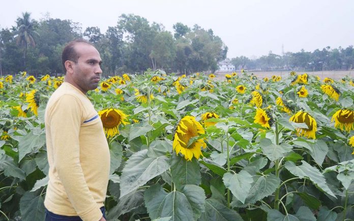 মৌলভীবাজার