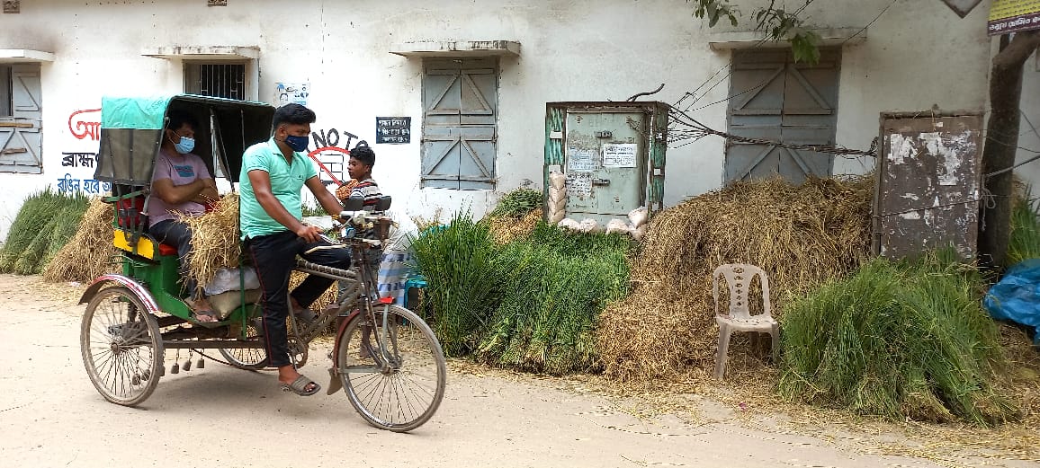 ঈদুল আজহাকে সামনে রেখে ব্রাহ্মণবাড়িয়ায় চাহিদা বেড়েছে গো-খাদ্যের।